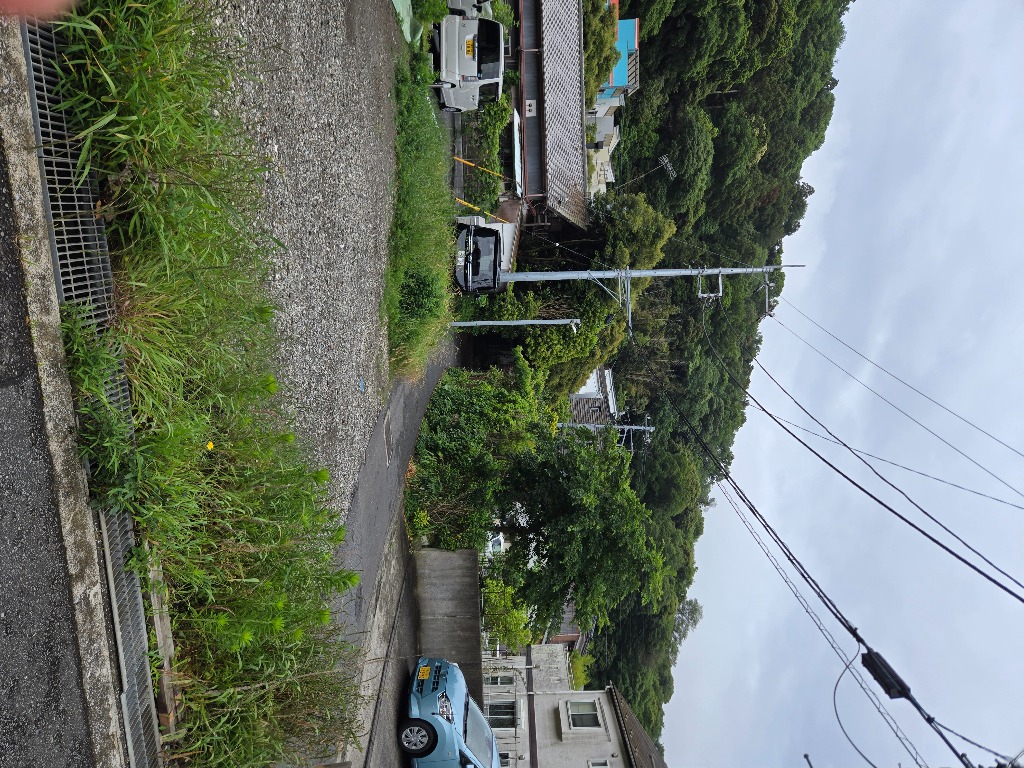 際どい道